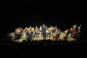 Teatro Apollonio
